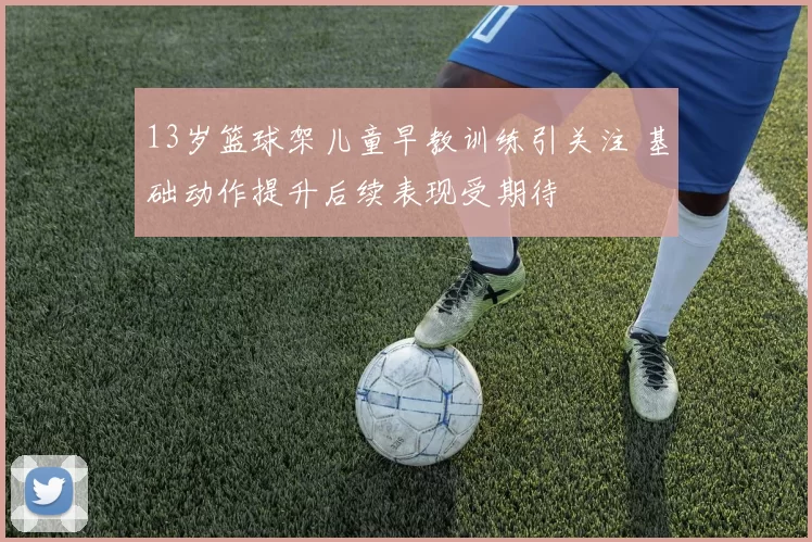 13岁篮球架儿童早教训练引关注 基础动作提升后续表现受期待
