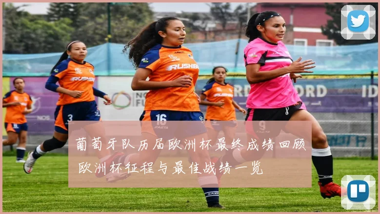 葡萄牙队历届欧洲杯最终成绩回顾 欧洲杯征程与最佳战绩一览