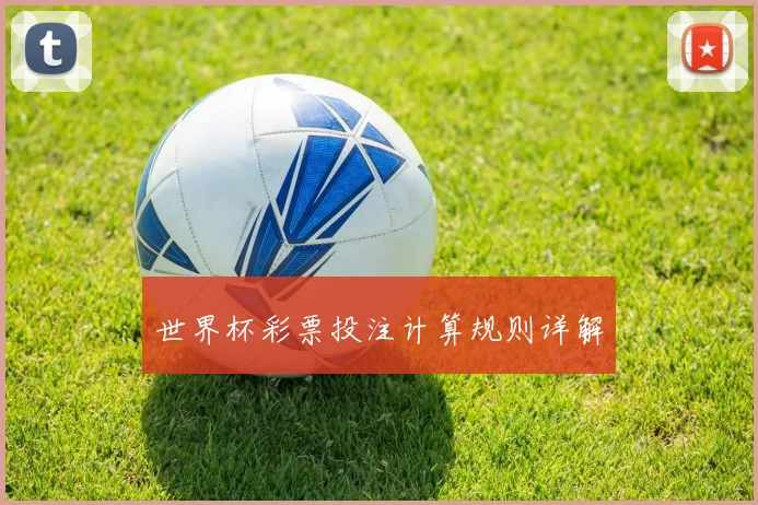 世界杯彩票投注计算规则详解