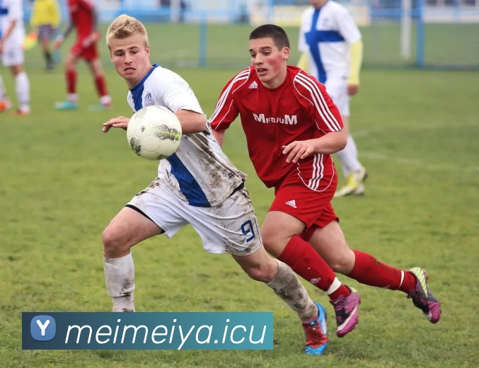 App Interface Preview